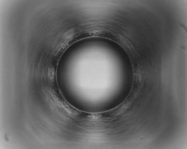 X0000099490660200805151408