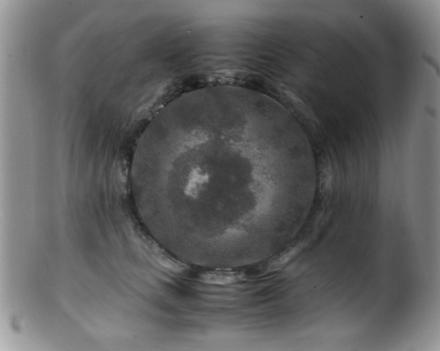 X0000099490661200805151408