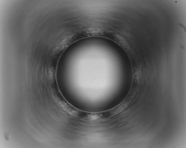 X0000099490662200805151408