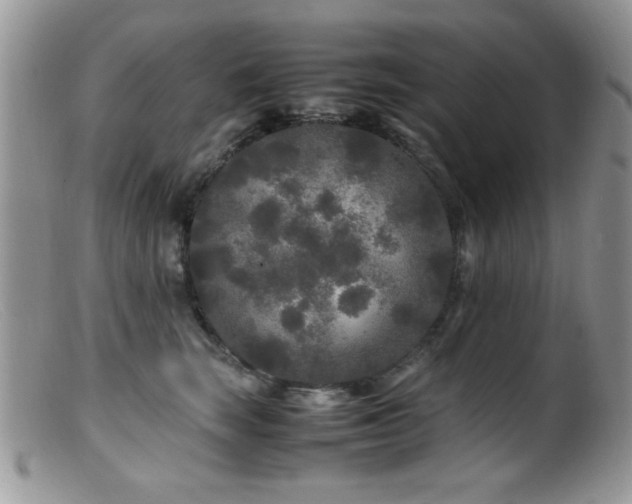 X0000099490663200805151408