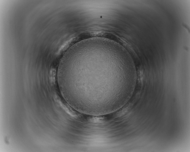 X0000099490664200805151408