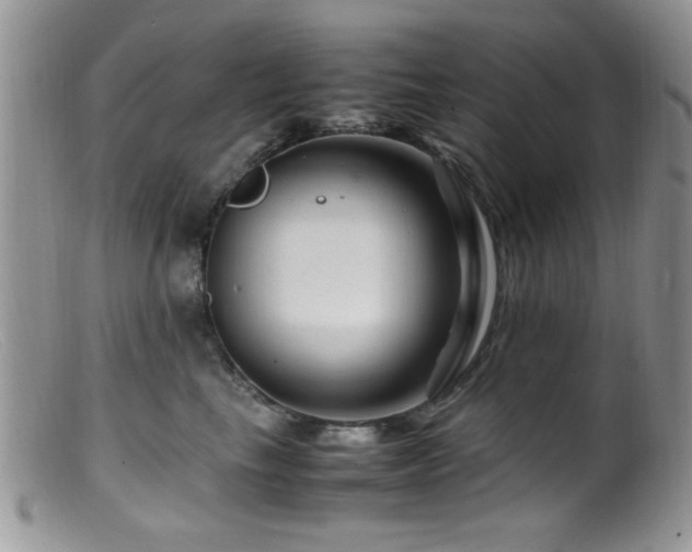 X0000099490665200805151408