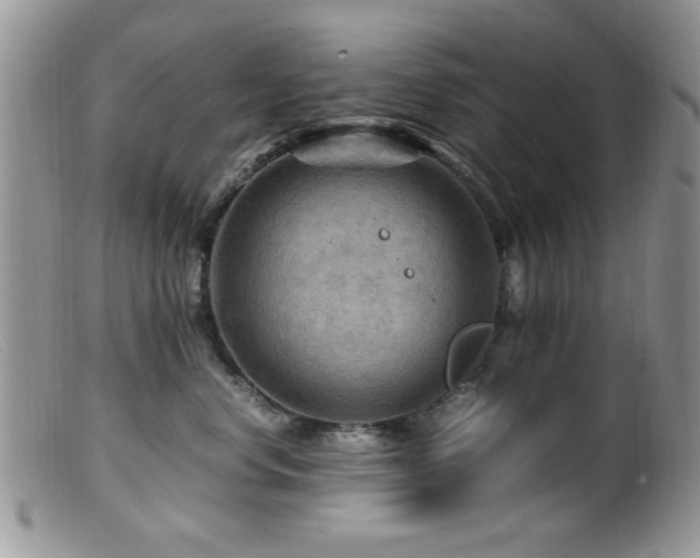 X0000099490668200805151408