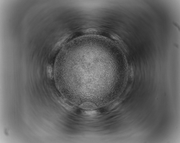 X0000099490669200805151408