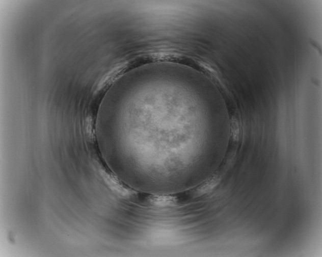 X0000099490670200805151408
