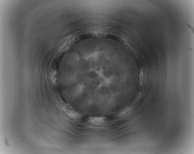 X0000099490671200805151408