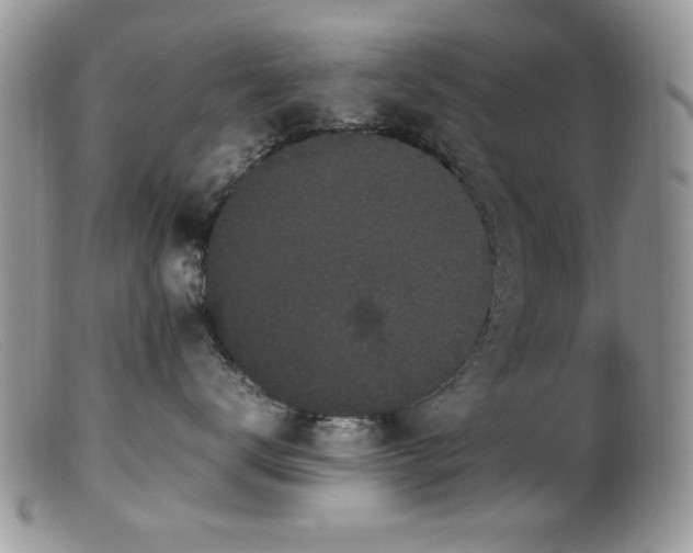 X0000099490672200805151408