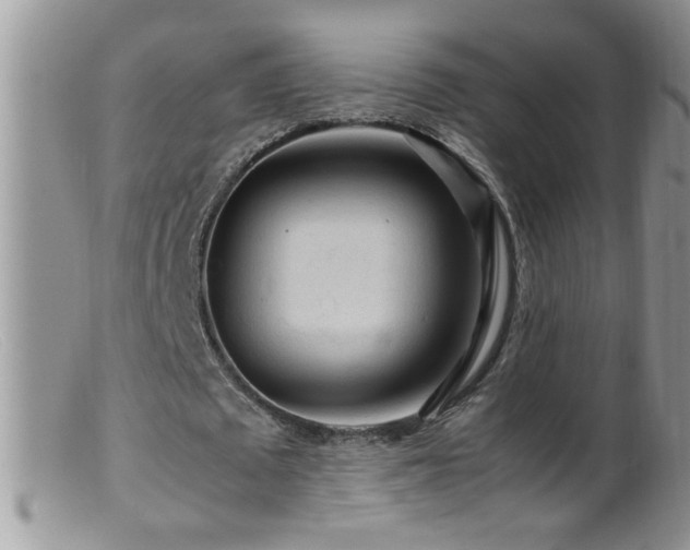 X0000099490673200805151407