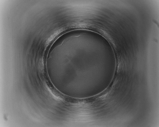 X0000099490674200805151407