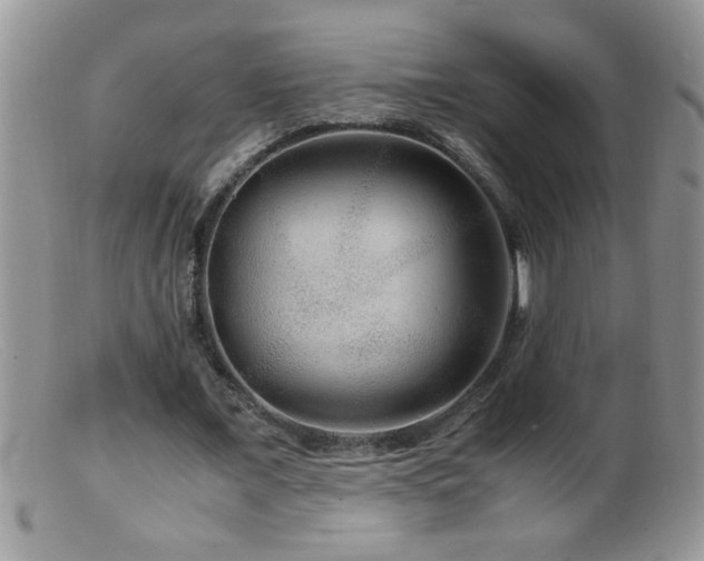 X0000099490675200805151407