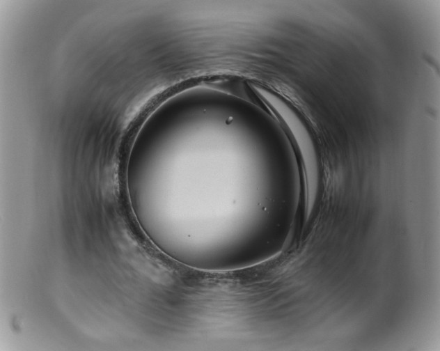 X0000099490676200805151407