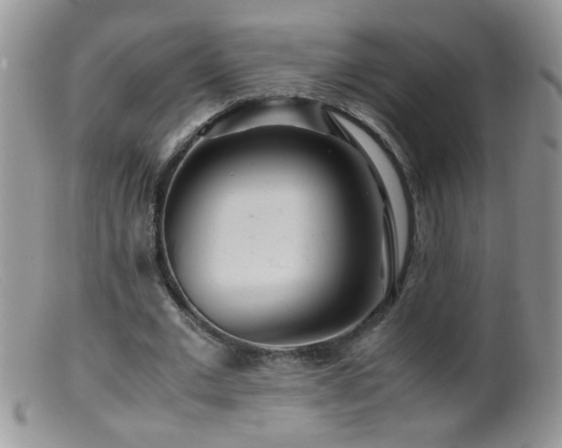 X0000099490677200805151407