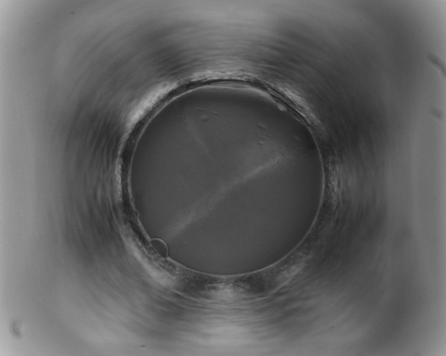 X0000099490678200805151407