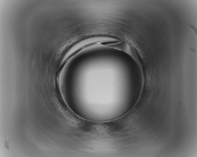 X0000099490681200805151407