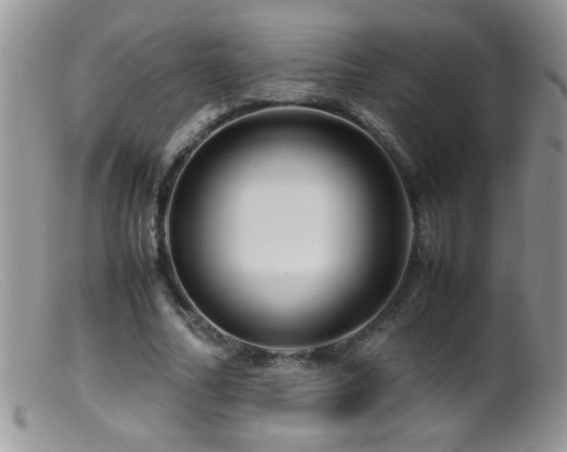X0000099490682200805151407
