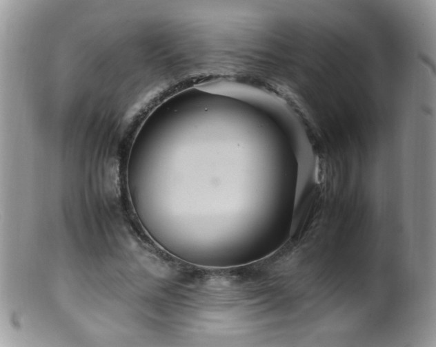 X0000099490684200805151407