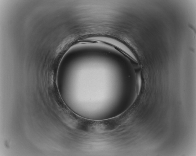 X0000099490685200805151407