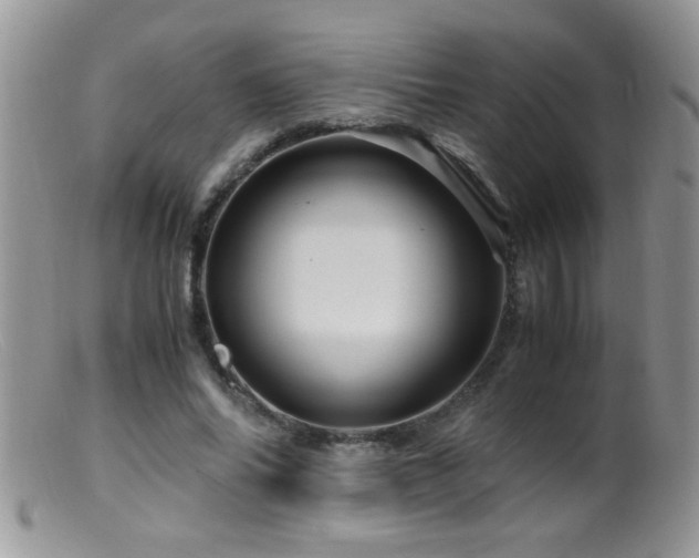 X0000099490686200805151407