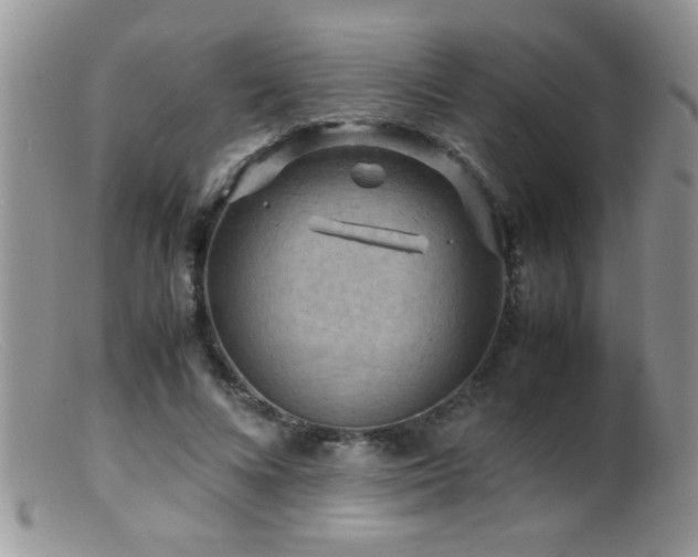 X0000099490688200805151407