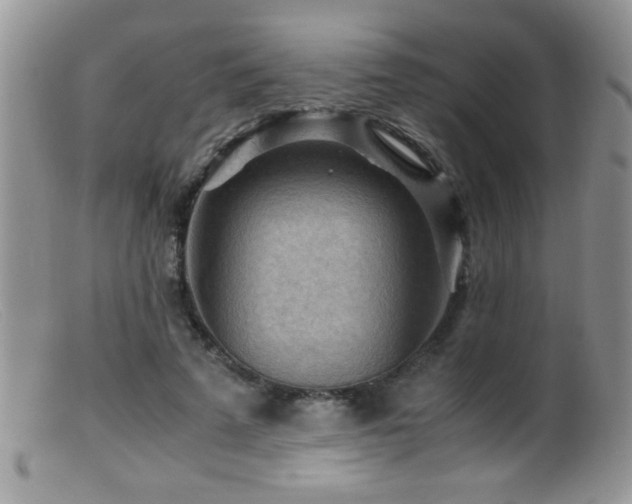X0000099490689200805151407
