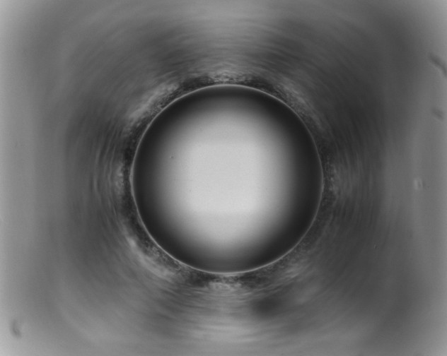 X0000099490690200805151407