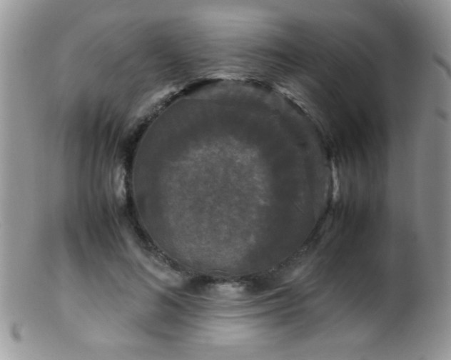 X0000099490692200805151407