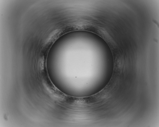 X0000099490694200805151407