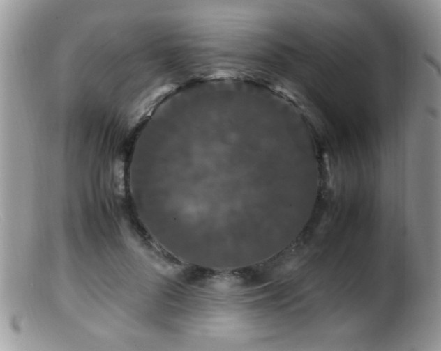 X0000099490696200805151407