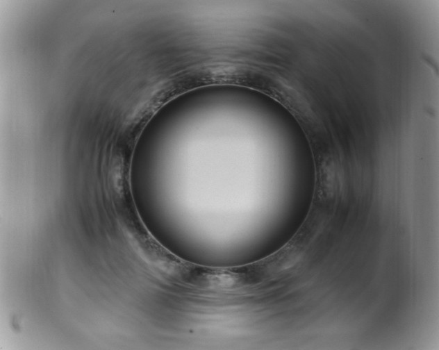 X0000099490698200805151407