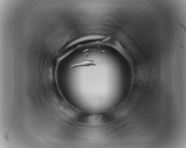X0000099490700200805151407