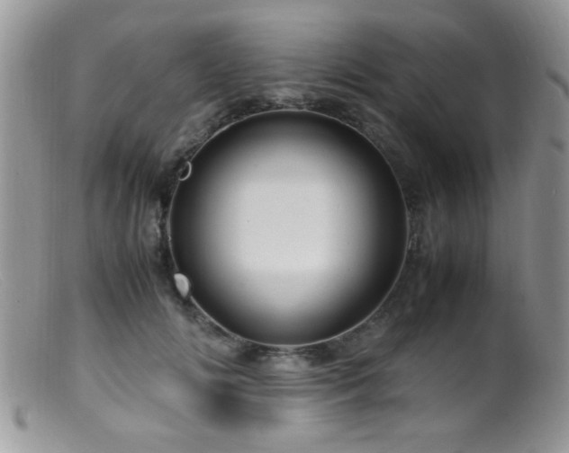 X0000099490702200805151407
