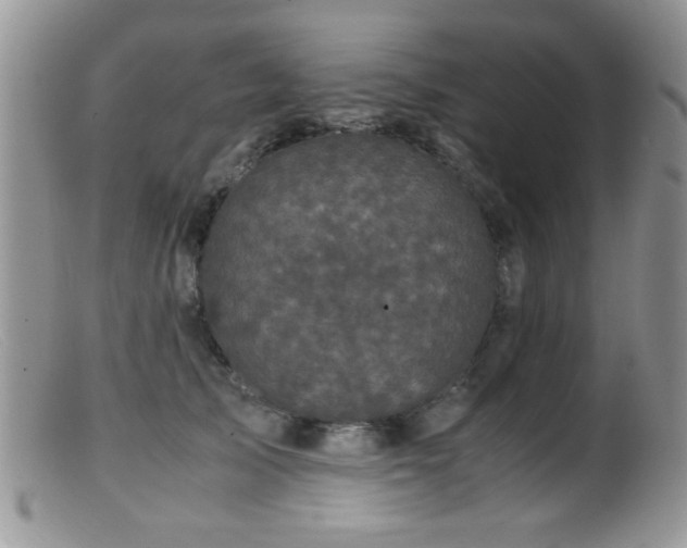 X0000099490705200805151407