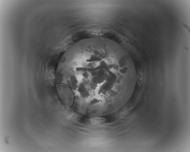 X0000099490707200805151407