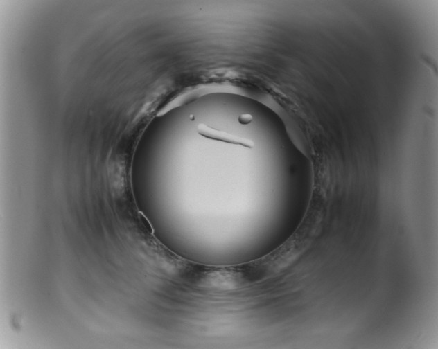 X0000099490708200805151407