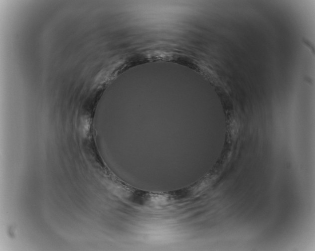X0000099490709200805151407