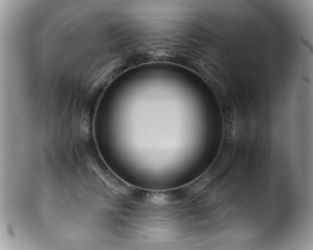 X0000099490710200805151407