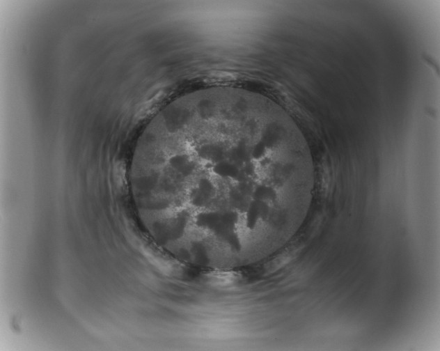 X0000099490711200805151407