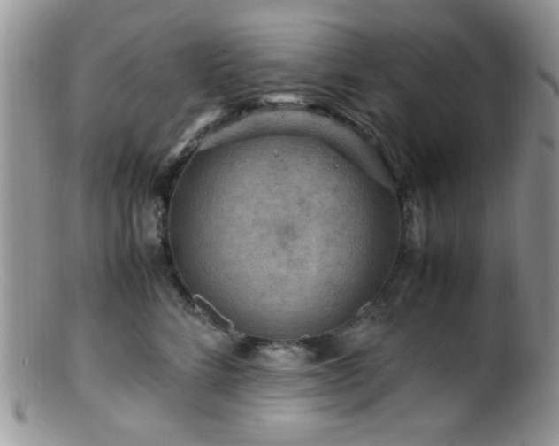 X0000099490712200805151407
