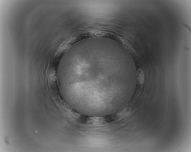 X0000099490713200805151407
