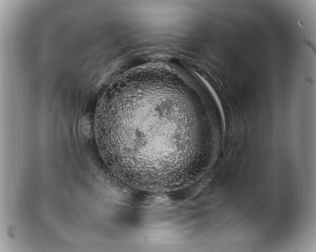 X0000099490715200805151407