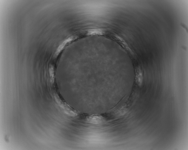 X0000099490716200805151407