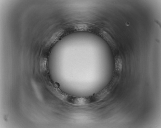 X0000099490717200805151407