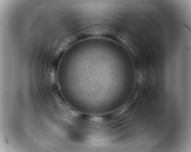 X0000099490718200805151407