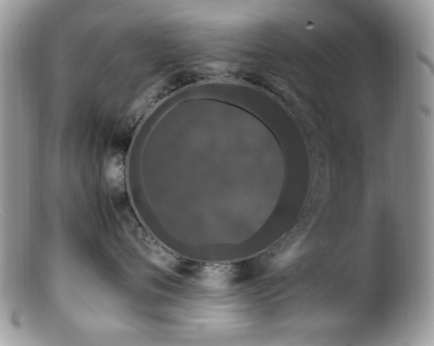 X0000099490720200805151407
