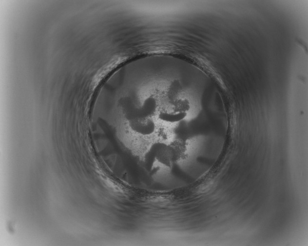 X0000099490721200805151406