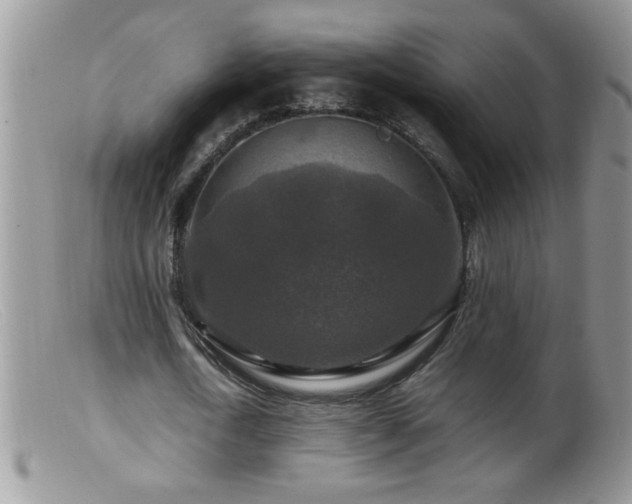 X0000099490722200805151406
