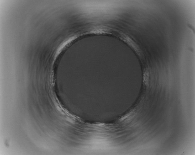 X0000099490724200805151406