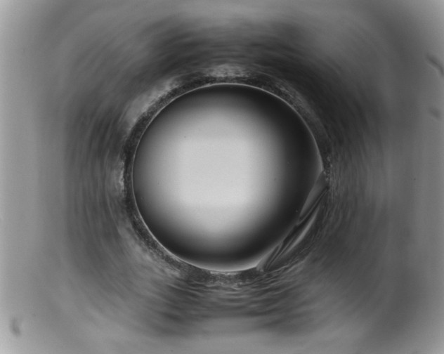 X0000099490727200805151406