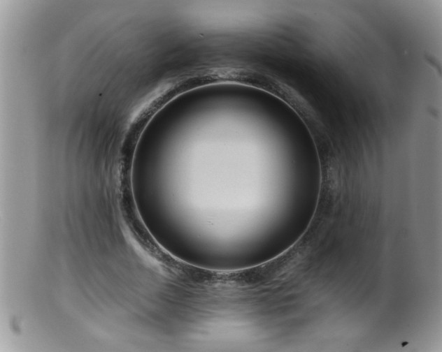 X0000099490730200805151406