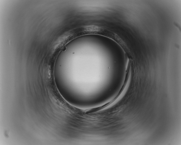 X0000099490731200805151406